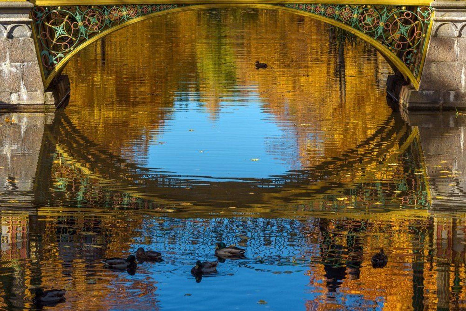 осень, парк, город пушкин, царское село, александровский парк, китайский мост, осенние отражения, пригороды петербурга, Марина Павлова