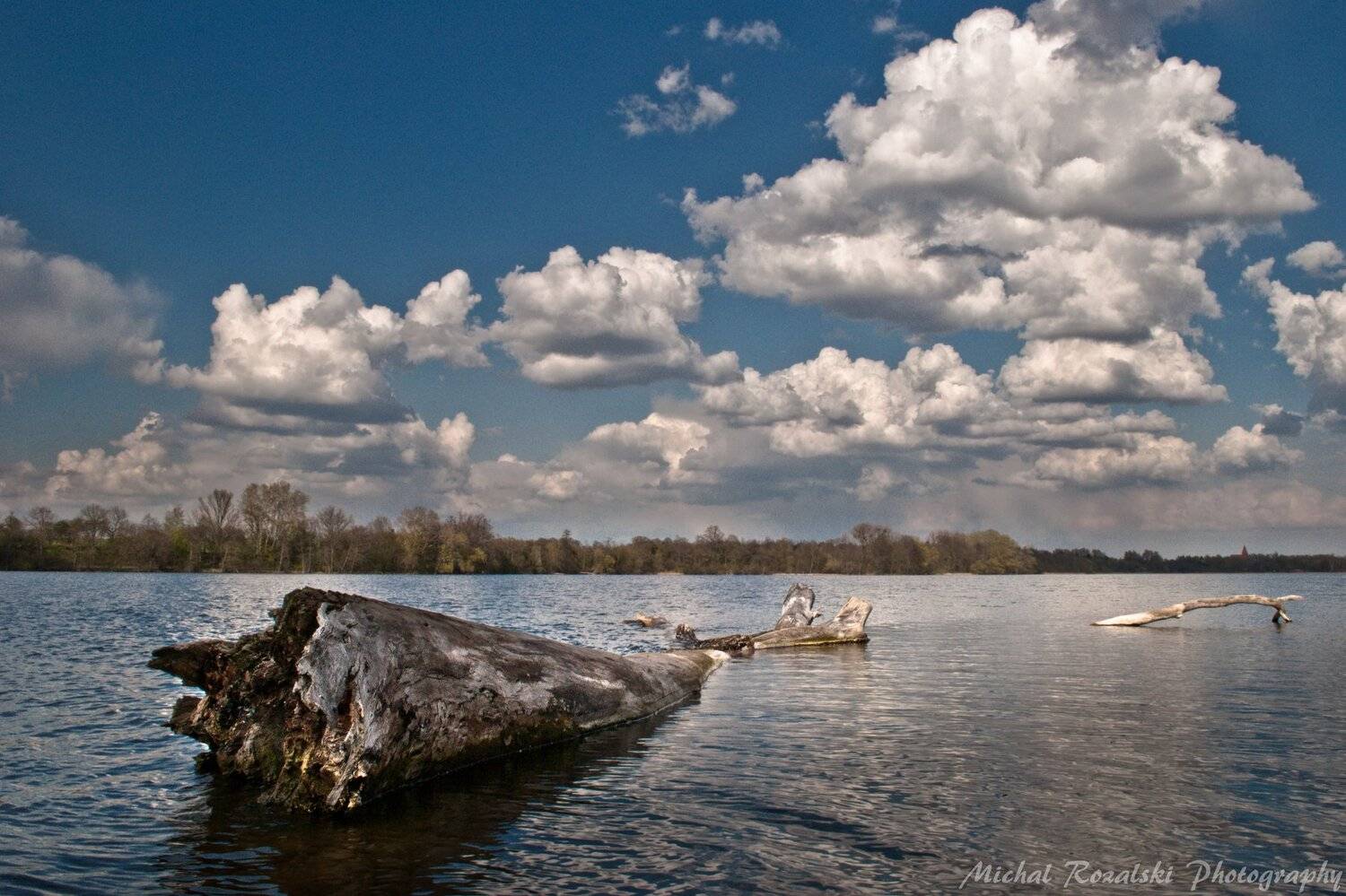 lake, , clouds, , water, , blue, , summer, , tree, , horizon, , trunk, Michal Rozalski