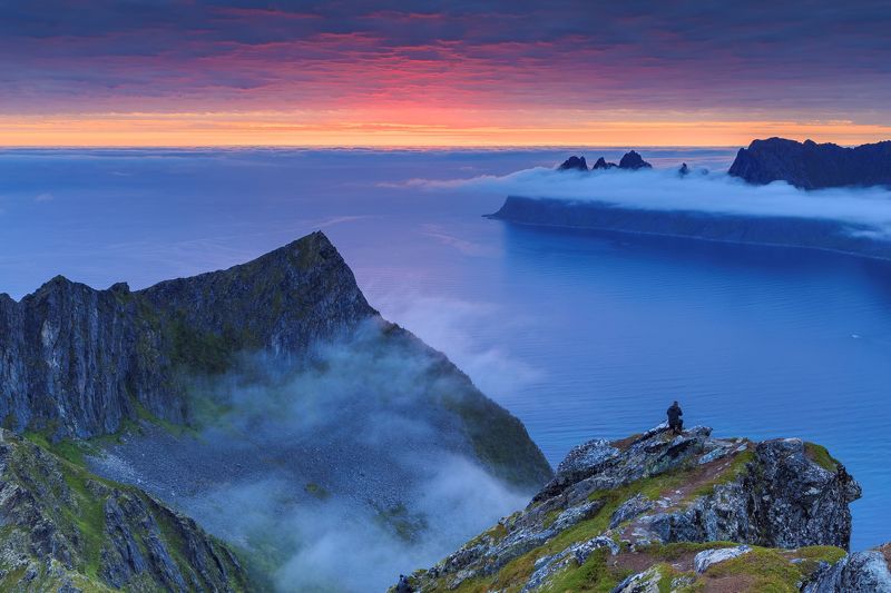 Зубы дракона фото превью