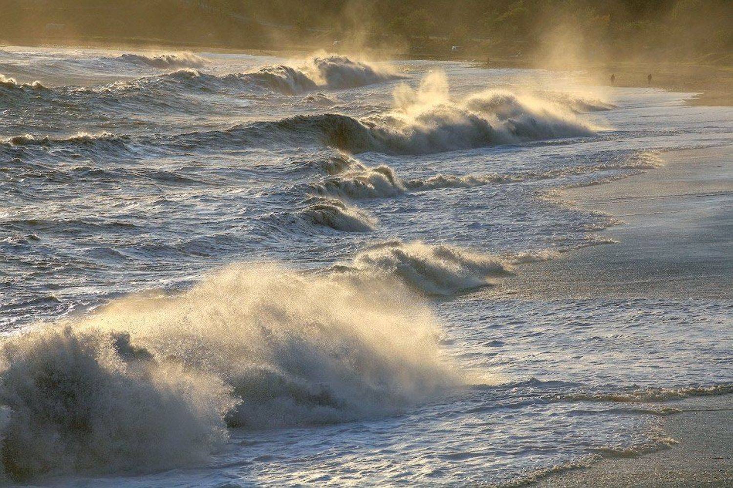 , Андрей Гусаченко
