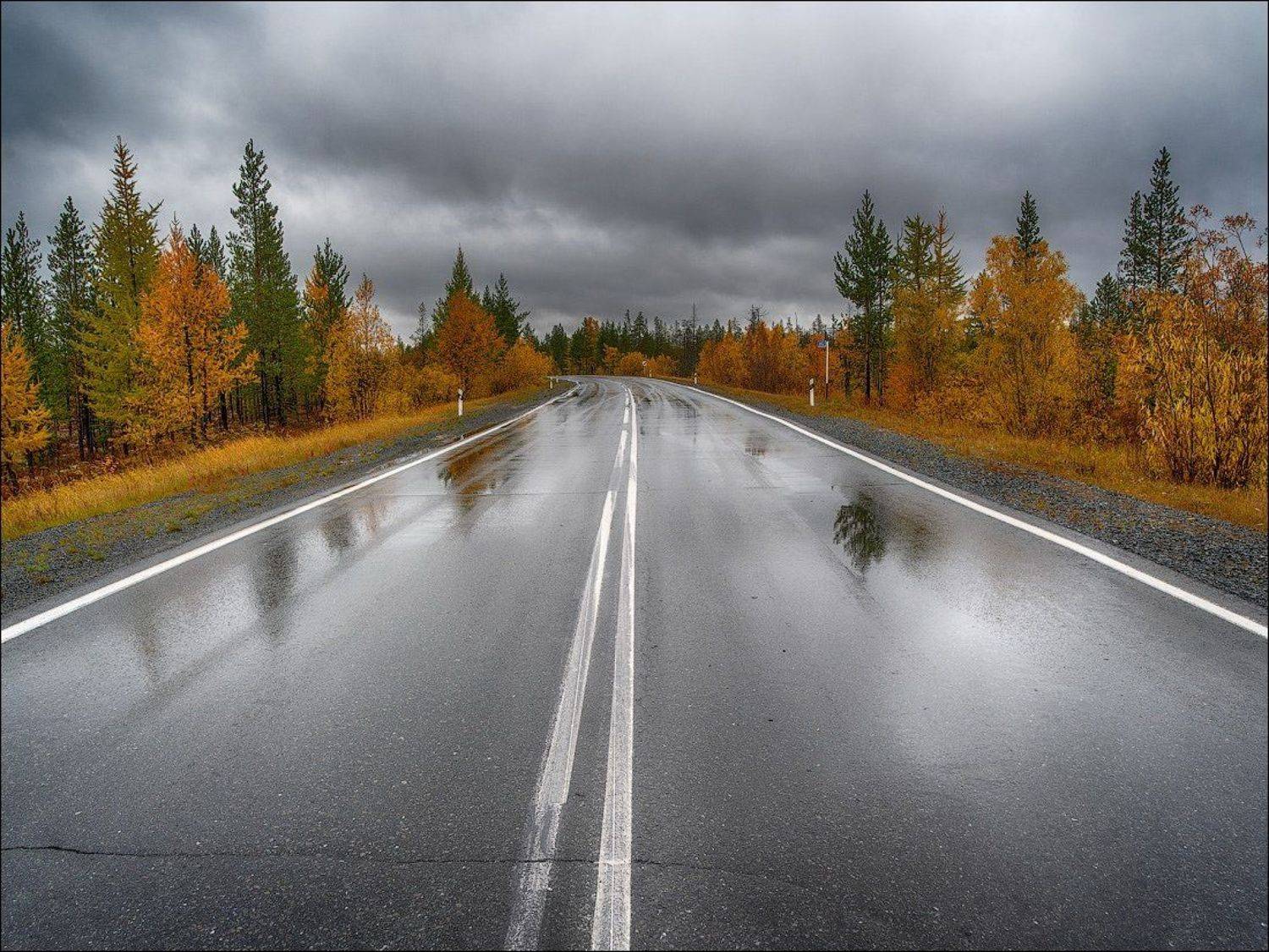 , Роман Чудинович