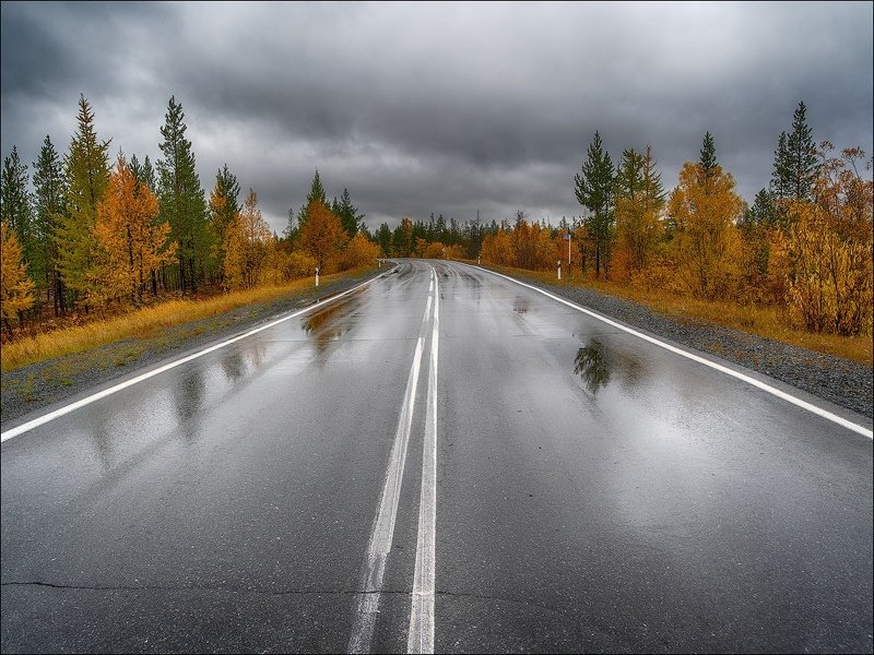 Дорога Новый Уренгой - Надым  фото превью