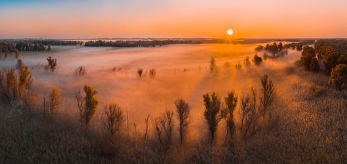 Туманный рассвет в дельте