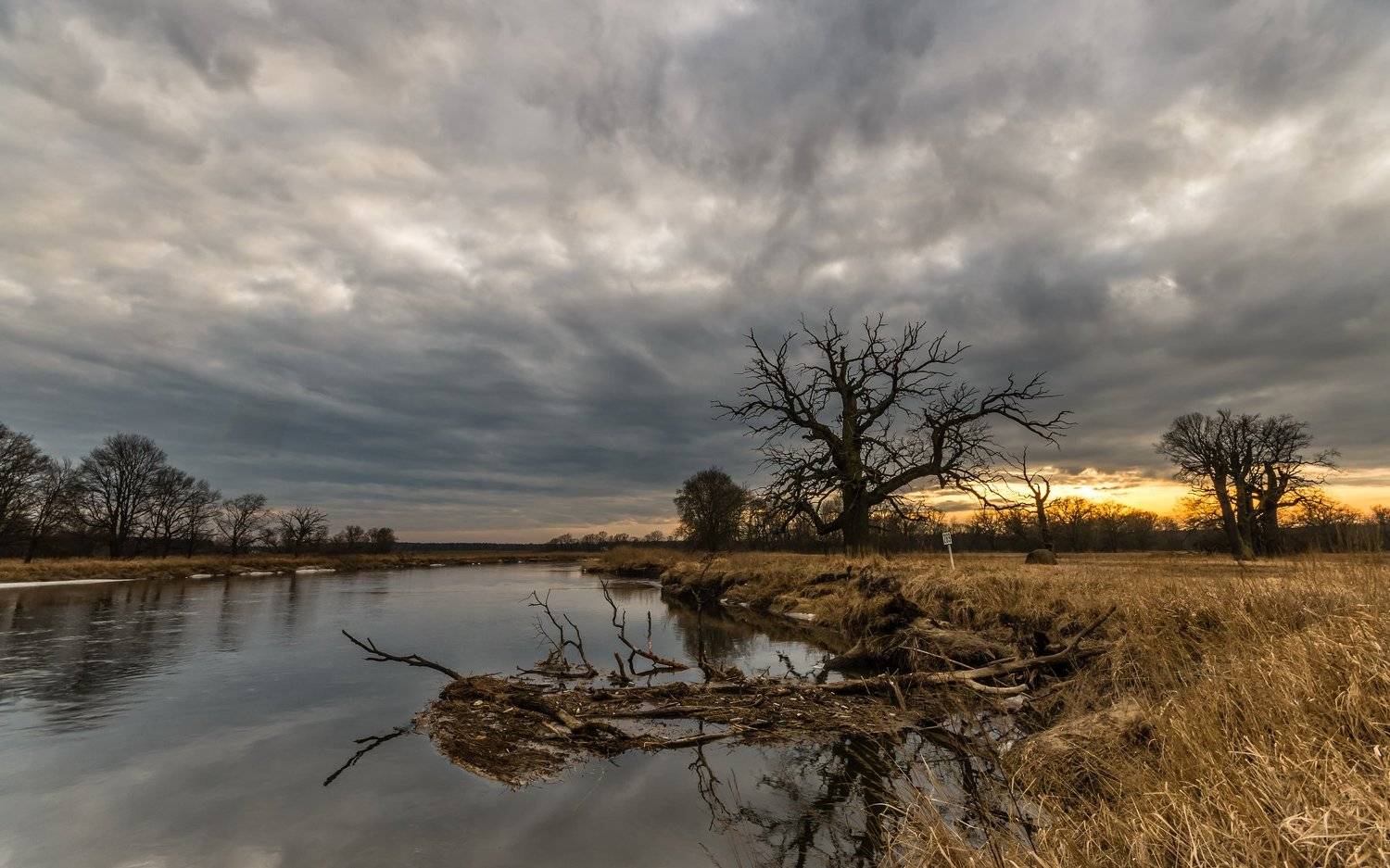 , Maciej Werbliński