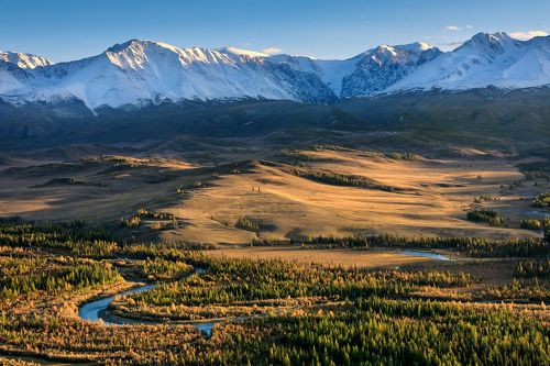 Golden autumn. Altai