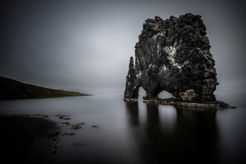исландия слонопотам фото превью
