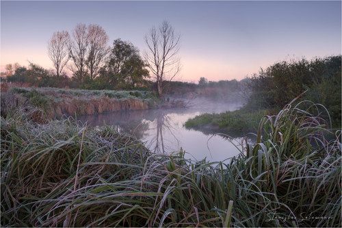 Утренняя тишина у реки