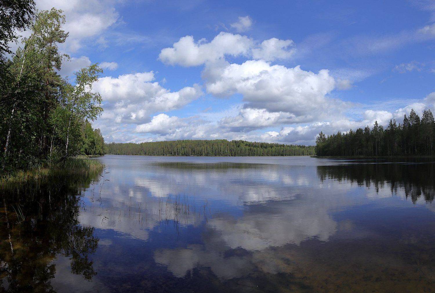 , Александр Зорин