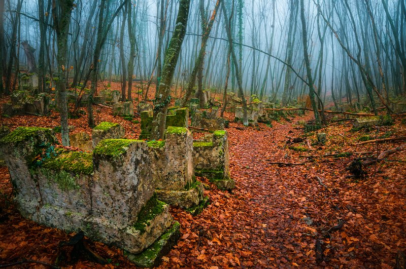 крым,  лес,  пейзаж,  деревья, иосафатова долина, осень, листья Memento mori фото превью