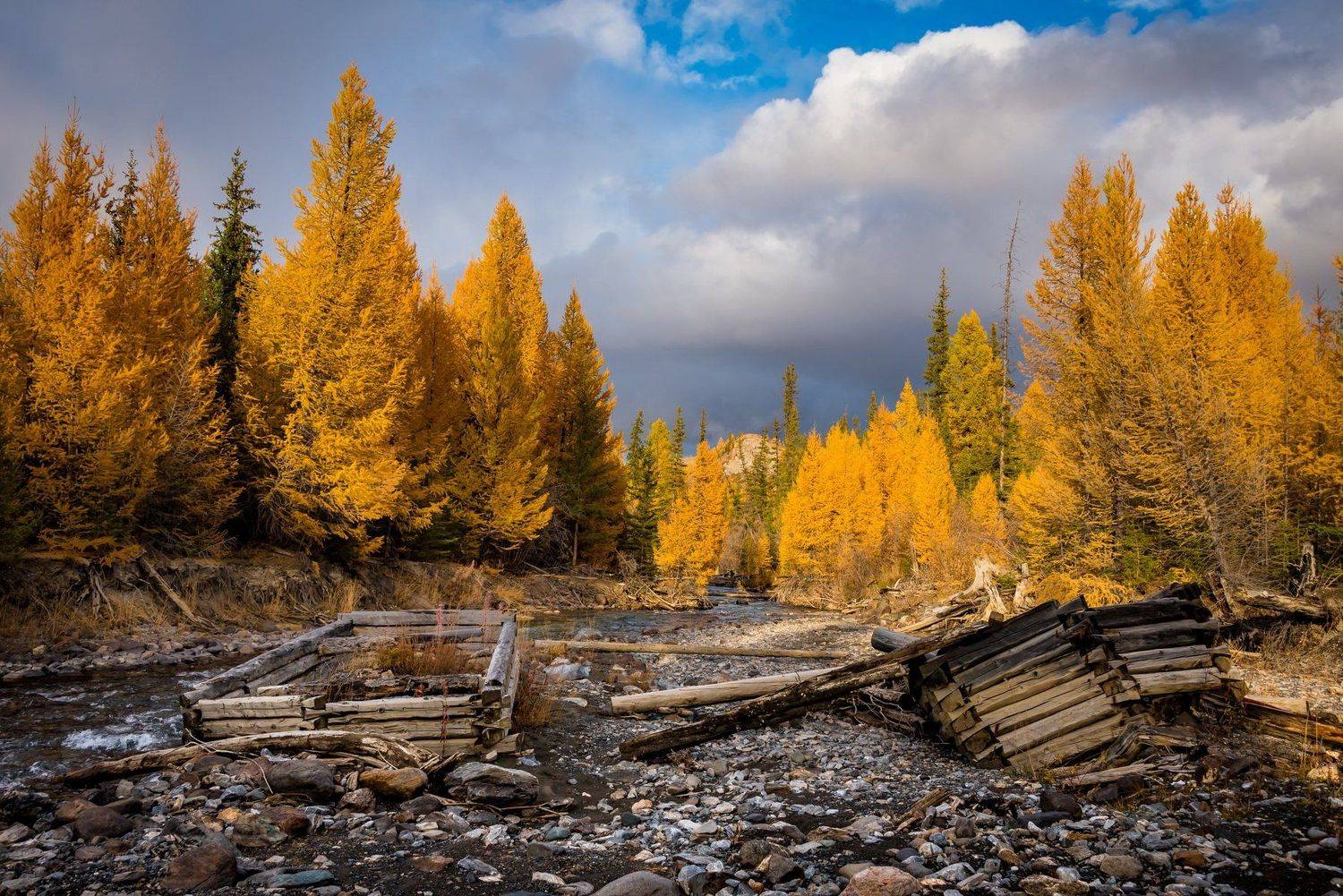 алтай, Татьяна Степанова