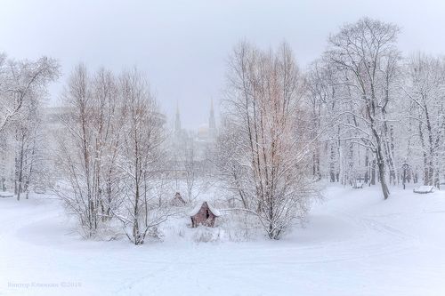 В зимнем парке