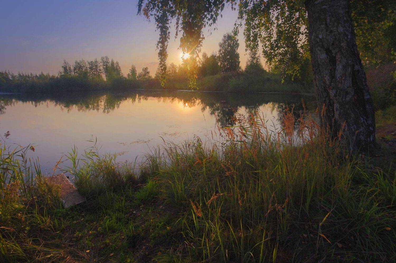 пейзаж,природа,вечер, Елена Рубинская