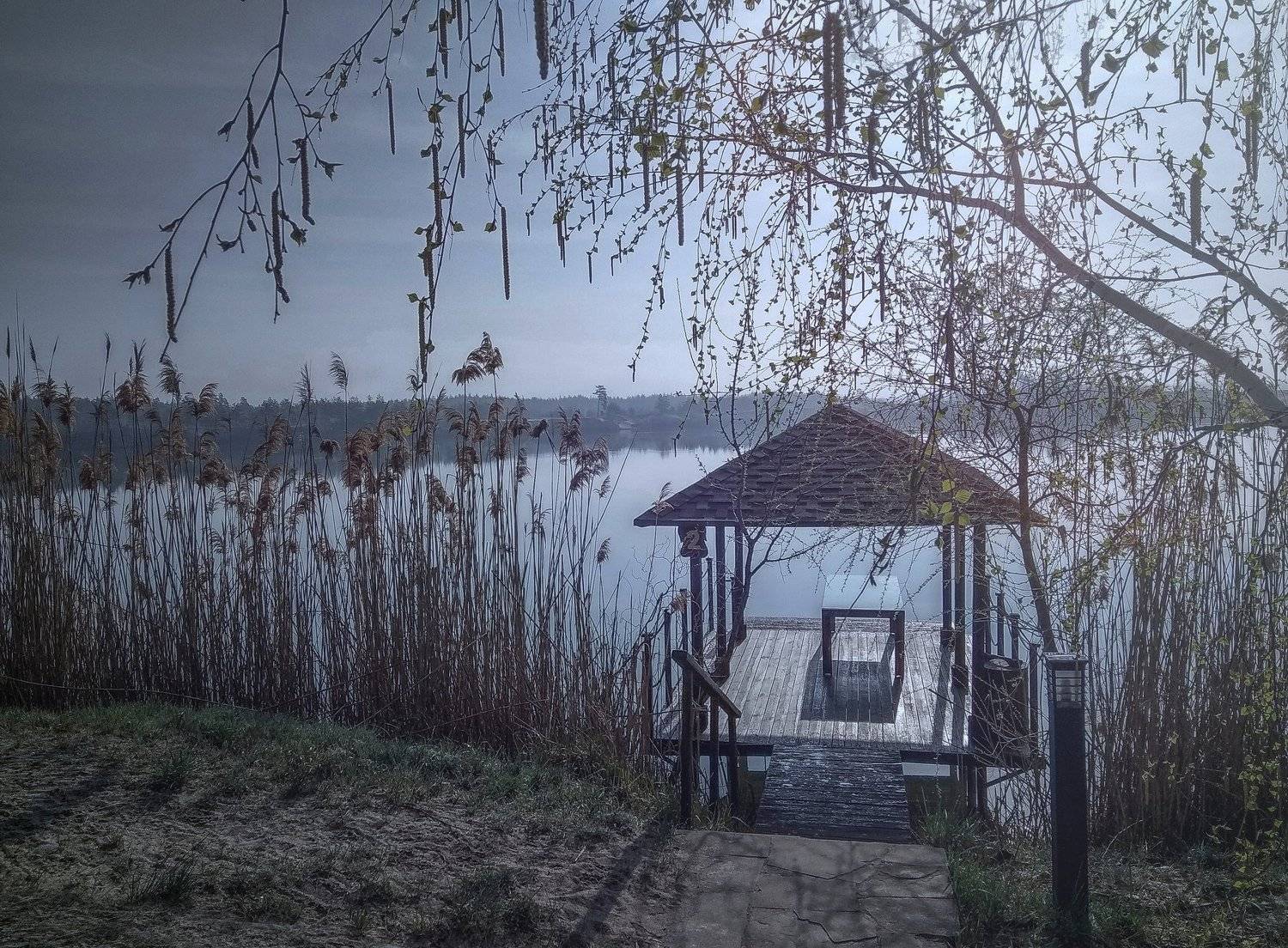 Лунная тишина. Автор: Mihalych , Mihalych