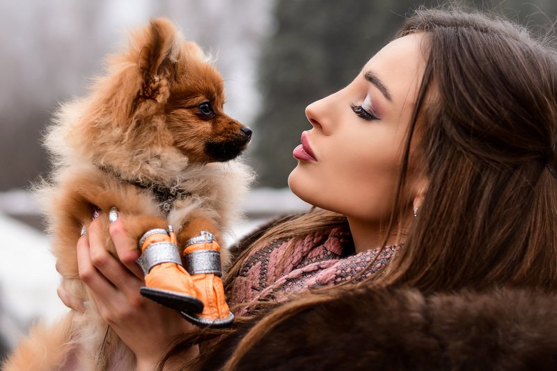 фото превью