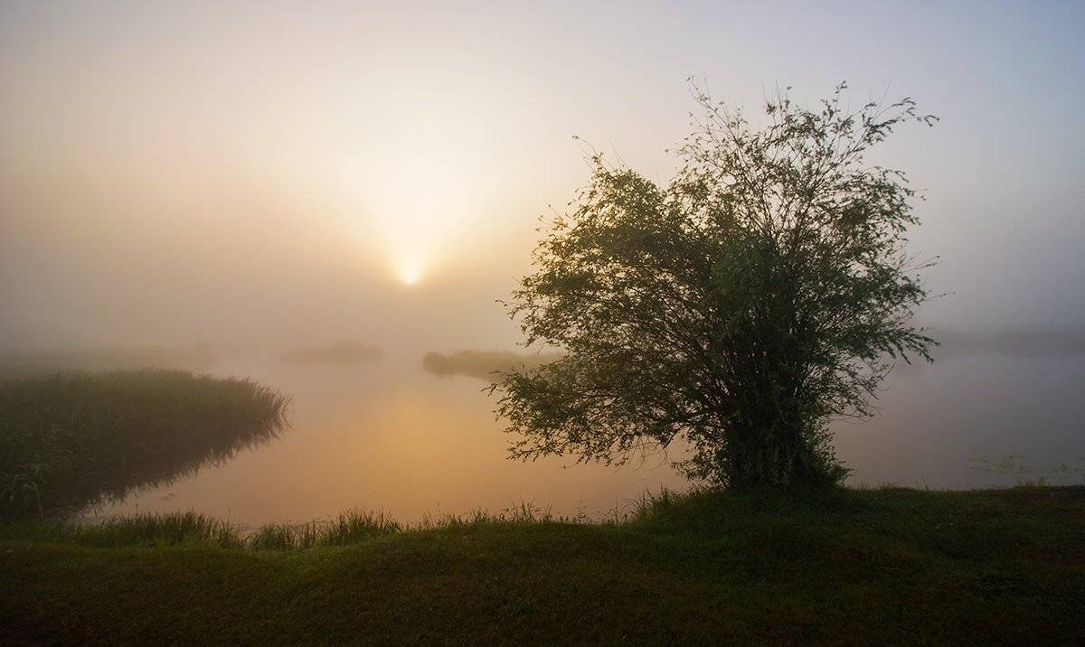 , Pawel Plucinski