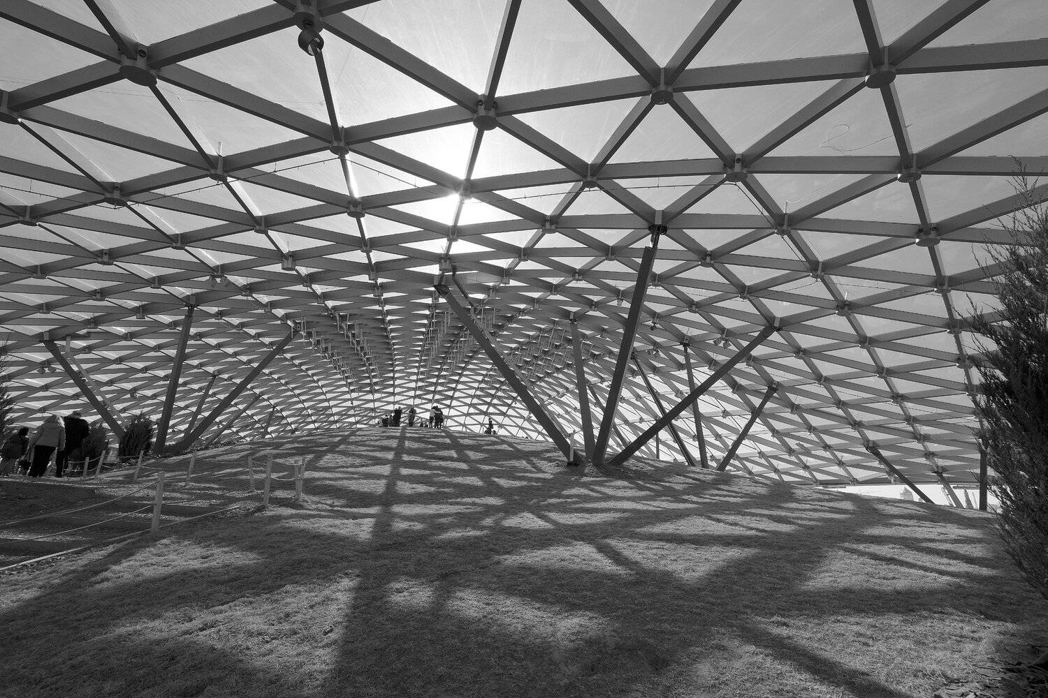 купол, прозрачная крыша, треугольники, холм, тени, подпорки, Зарядье, Москва, геометрия, Дмитрий Ткаченко