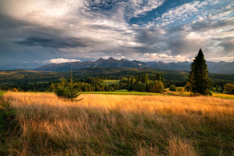 trawa, krajobraz, drzewa, widok, małopolska, tatry bielskie, spisz, góry, trawa, zachód, jesień, tatry, łapszanka, niebo Dzisiejsze popołudnie z widokiem na Tatry фото превью