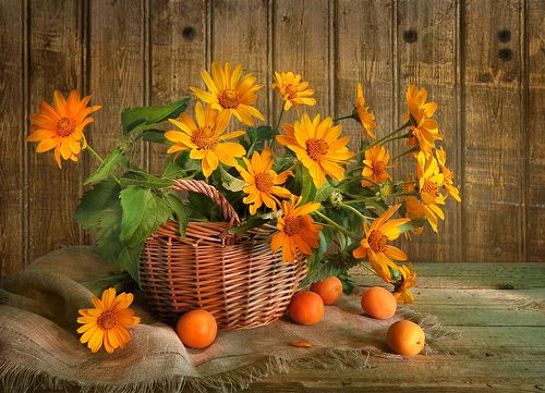 Желтые цветы