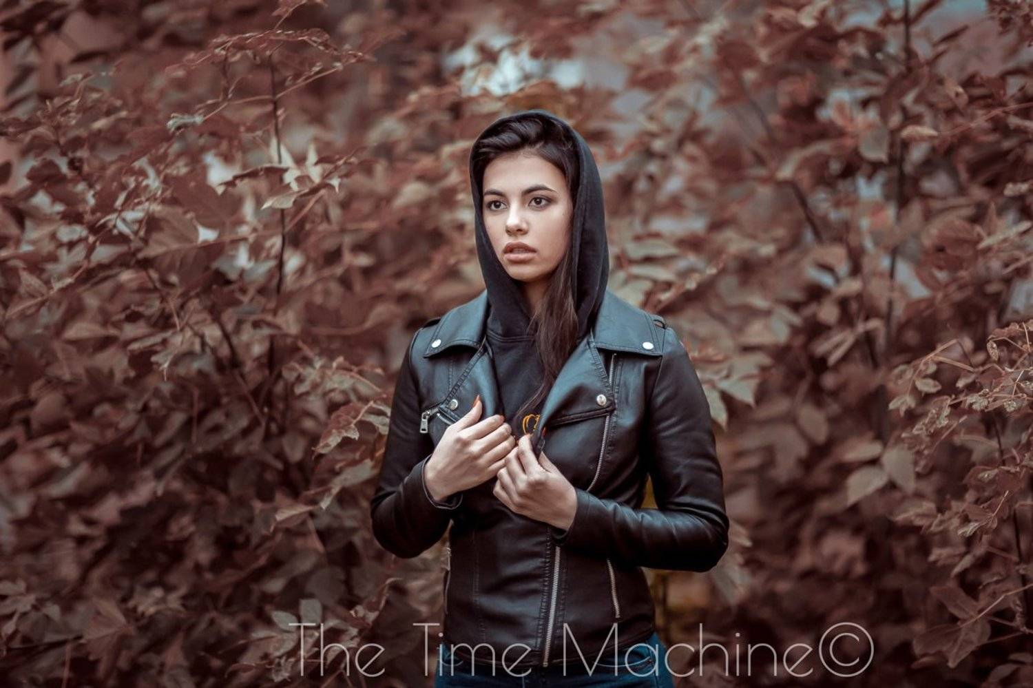 , Михаил Бове