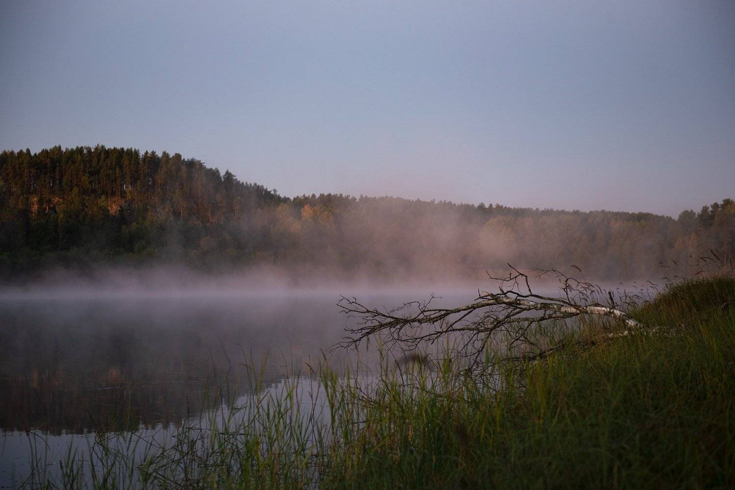 , Алёна Таланова