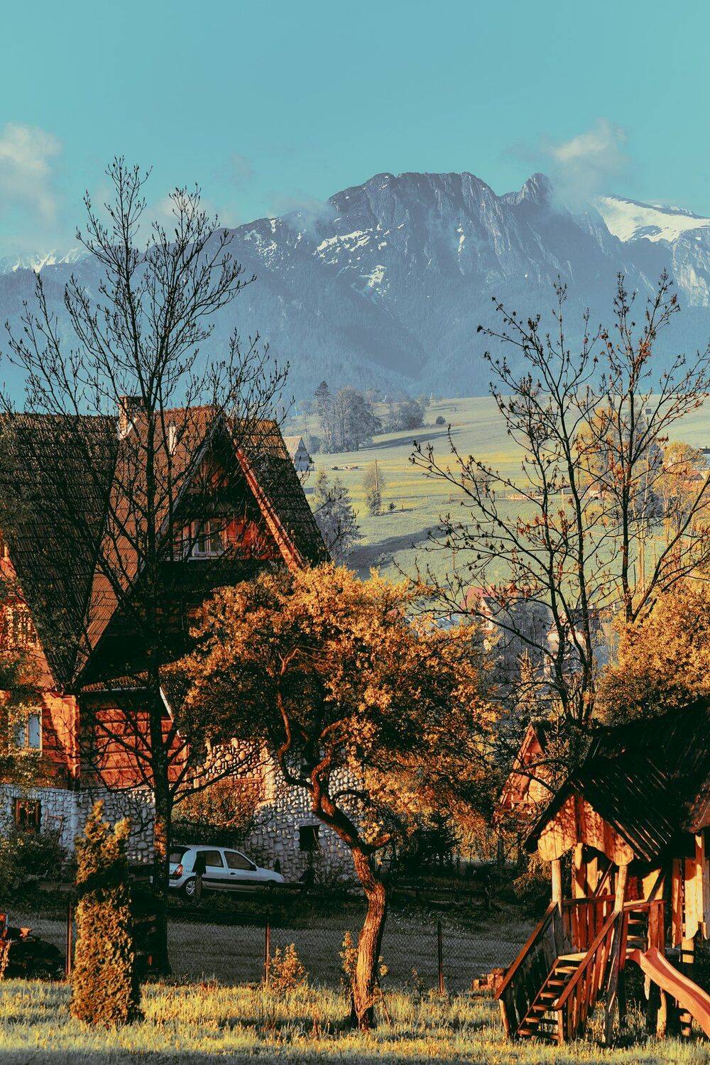 , Александр Фанковин