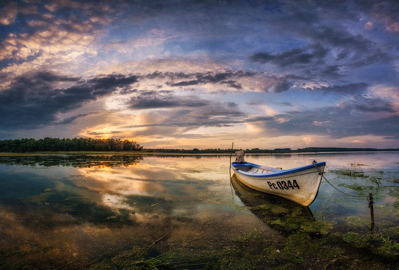 Boats of the Danube фото превью