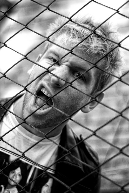 dorn.2008 фото превью