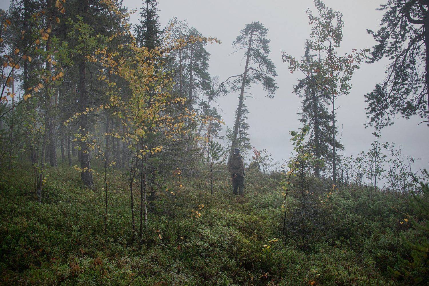 Туман, Север, Кольский, Анастасия Малых