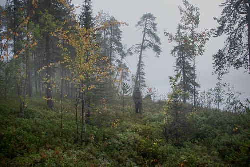 В тумане