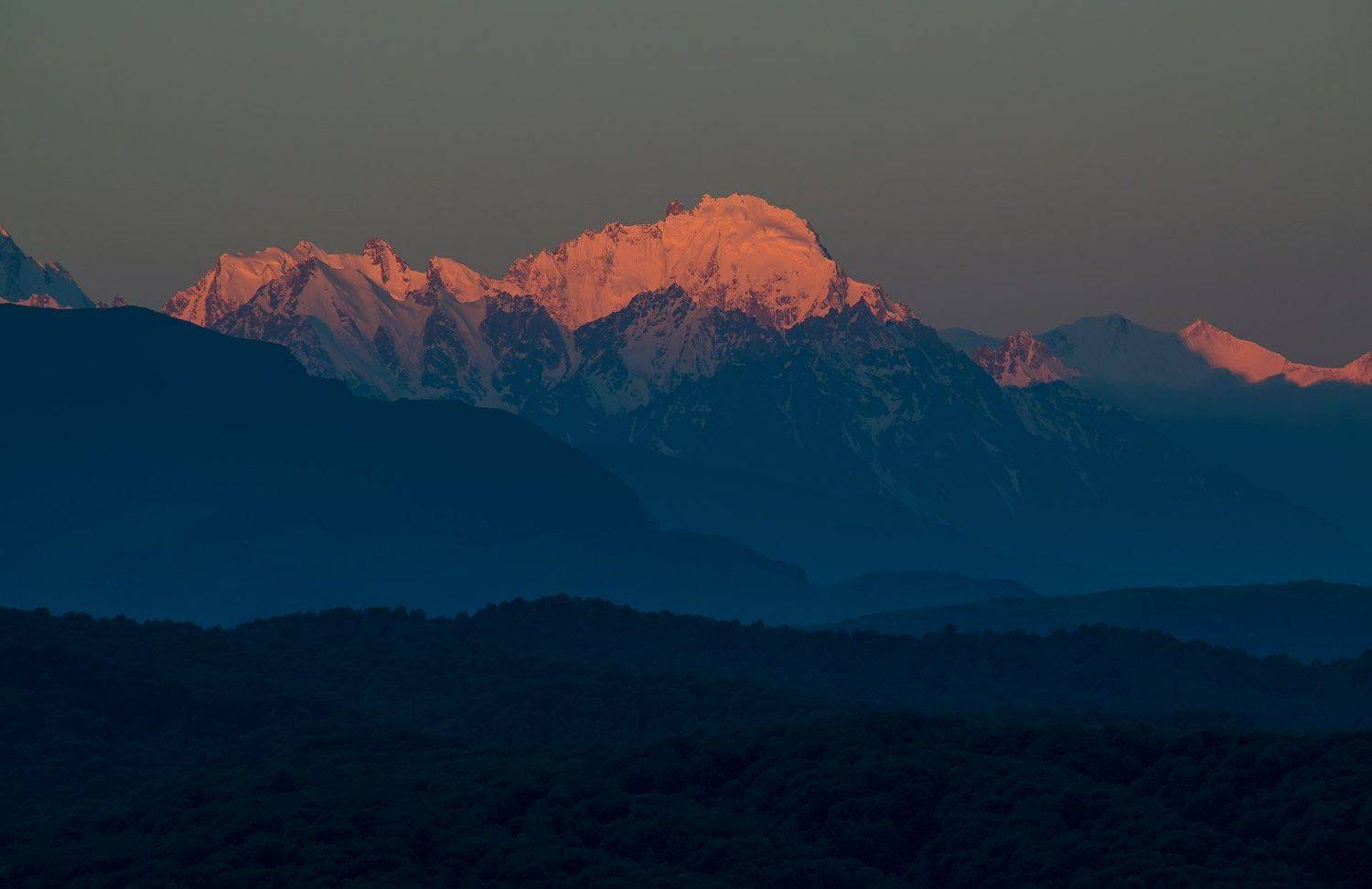 , Хасан Журтов