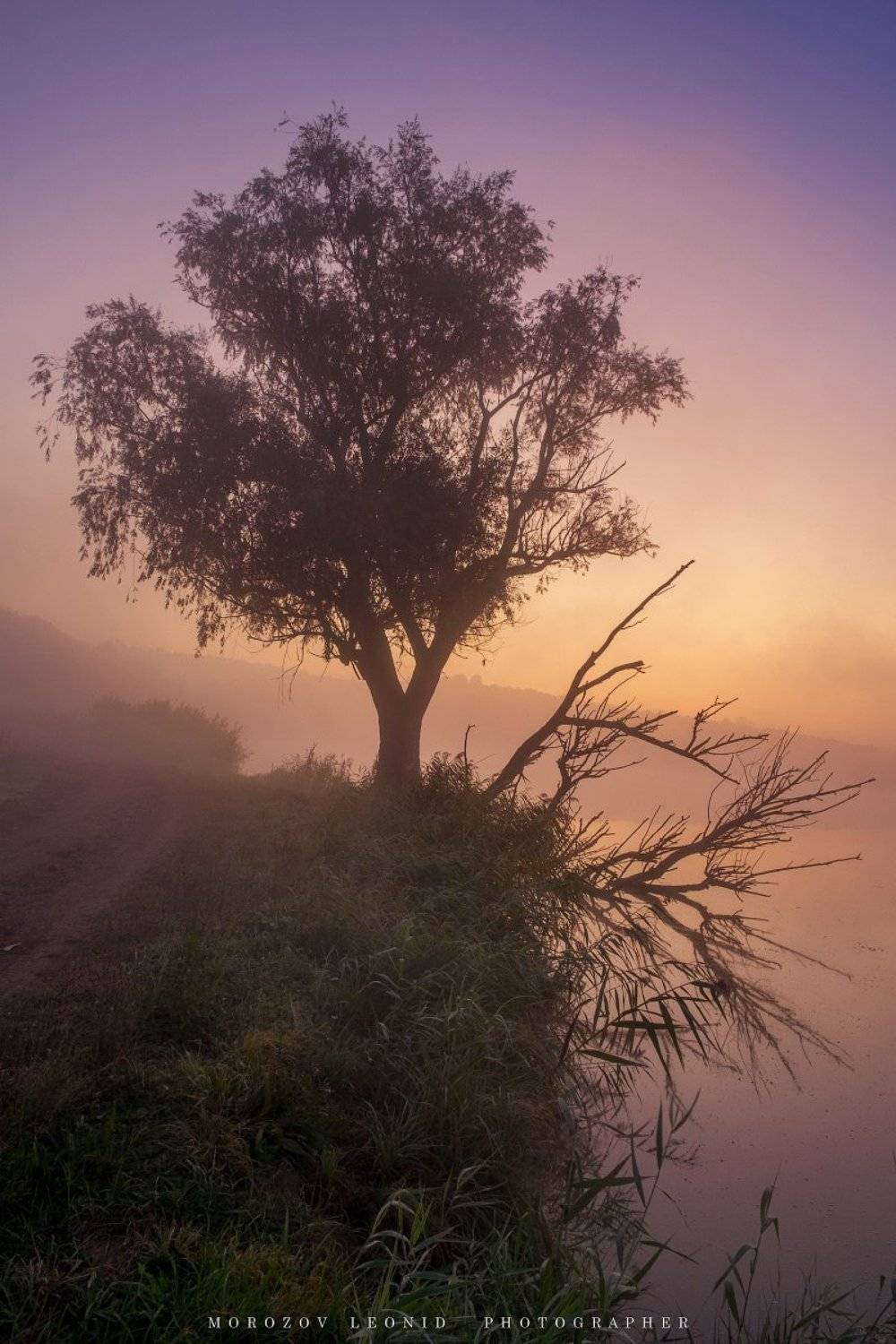 #landscape, #nature, #scenery, #forest, #wood, #autumn, #mist, #misty, #fog, #foggy, #river, #waterfall, #longexposure, #mountain, #vitosha, #bulgari, #aтуман, #лес, #oсень, Леонид Морозов