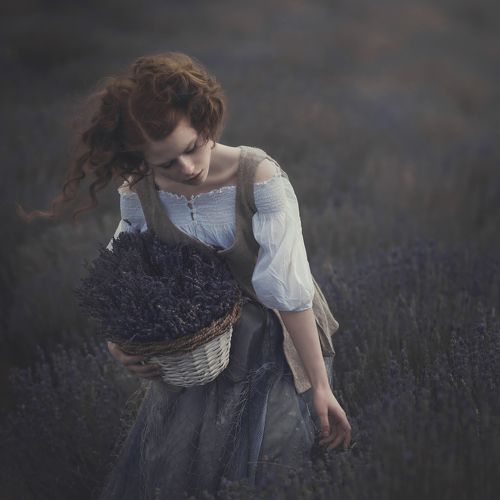 Windy dreams
