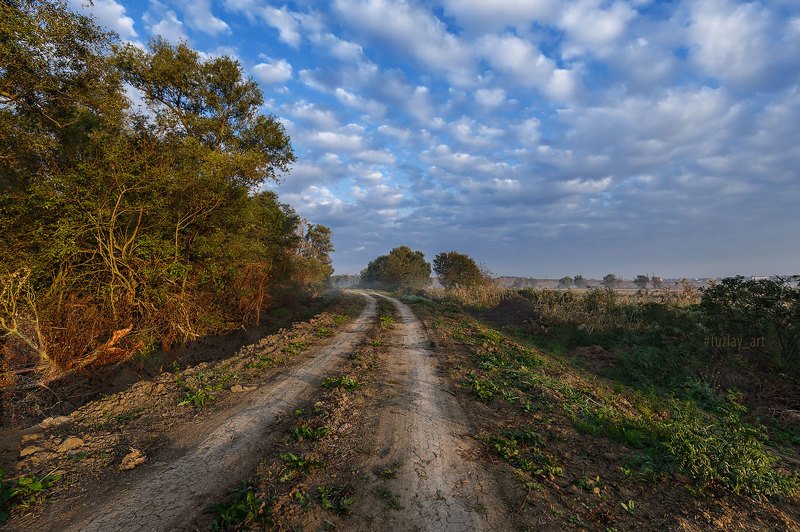 кубань, сентябрь, дорога, кубанские туманы, таманский полуостров, темрюк «Ламповое» утро фото превью