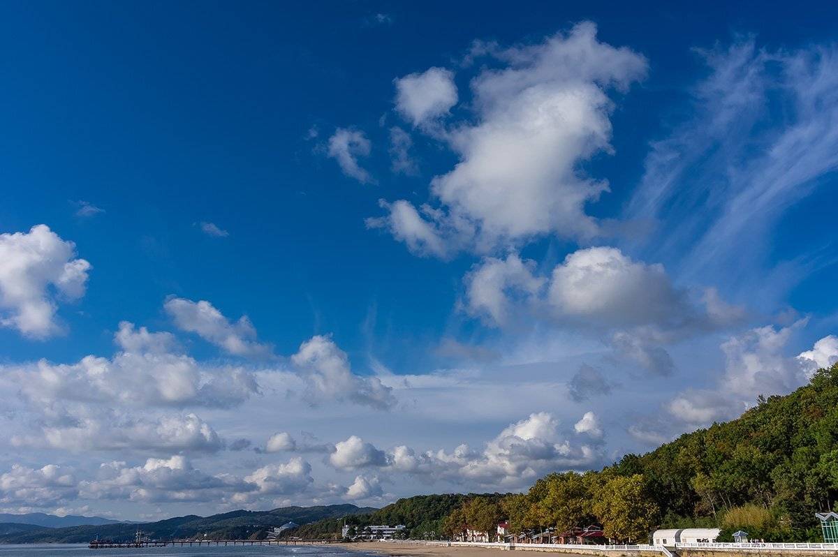 , Александр Земляной