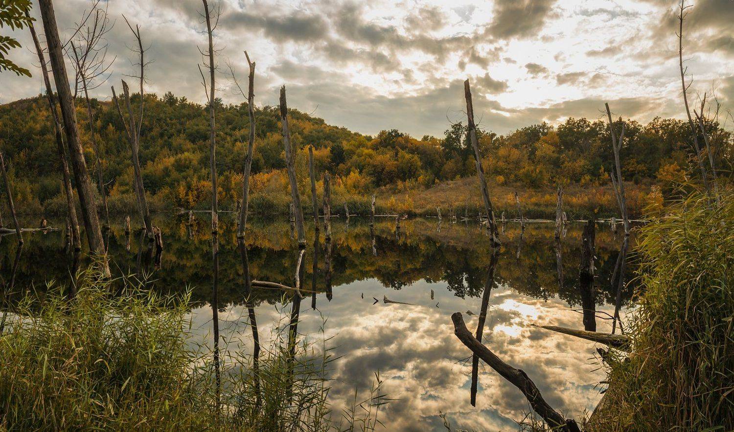 , Игорь Мелекесцев