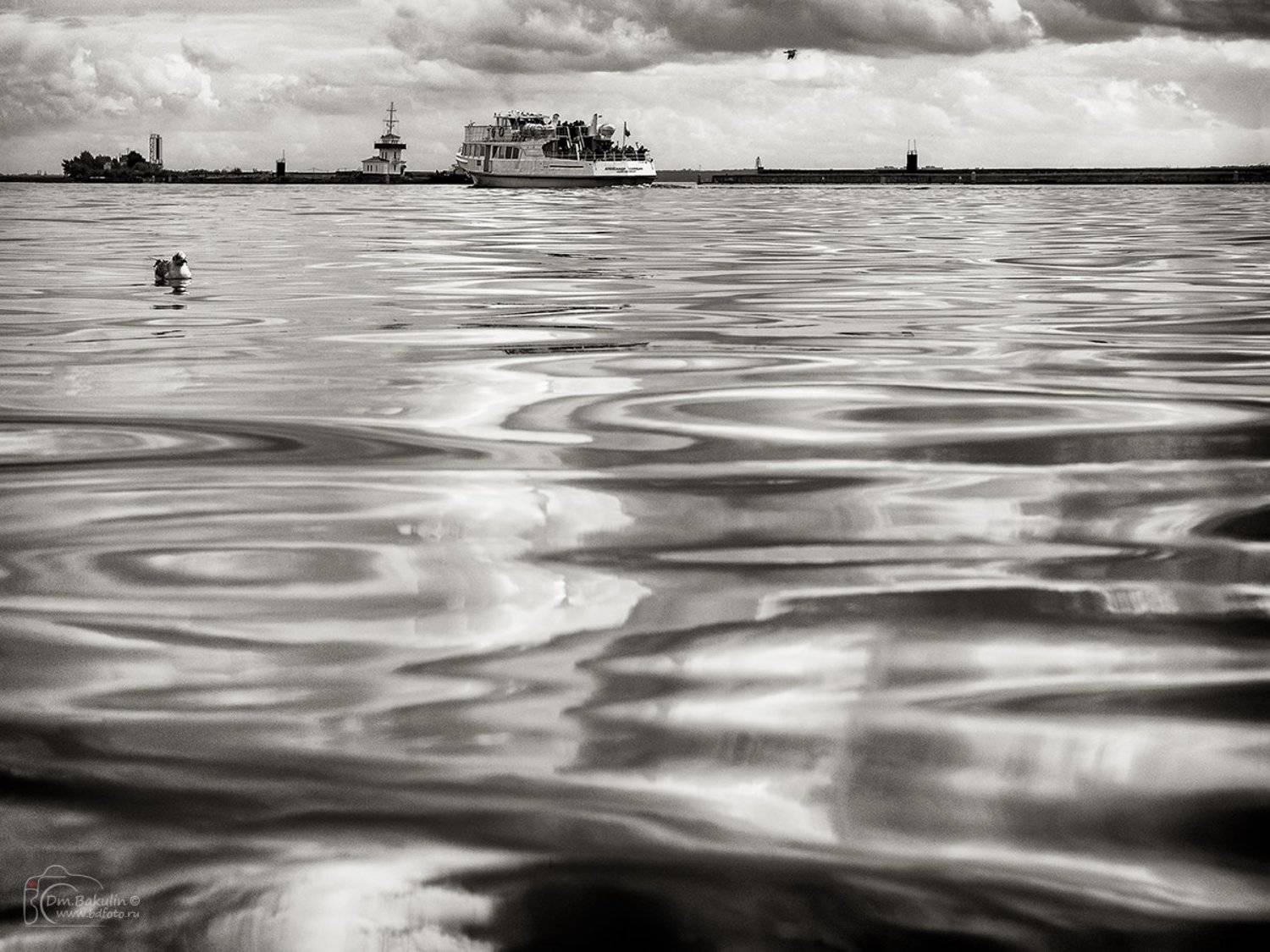 , Дмитрий Бакулин