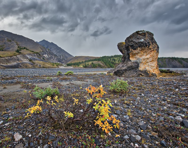 Без названия. фото превью