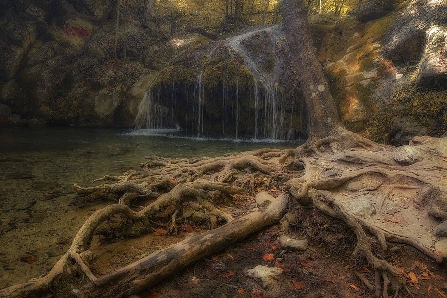 , Анатолий Зверев