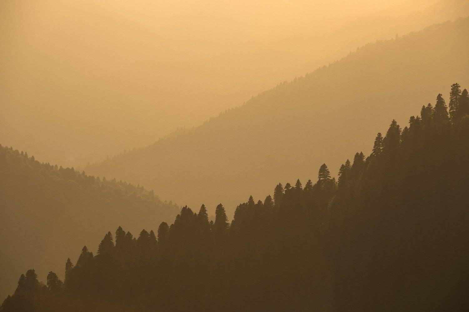 Сочи, горы, Красная Поляна, пейзаж, лето, Сергей Шабанов