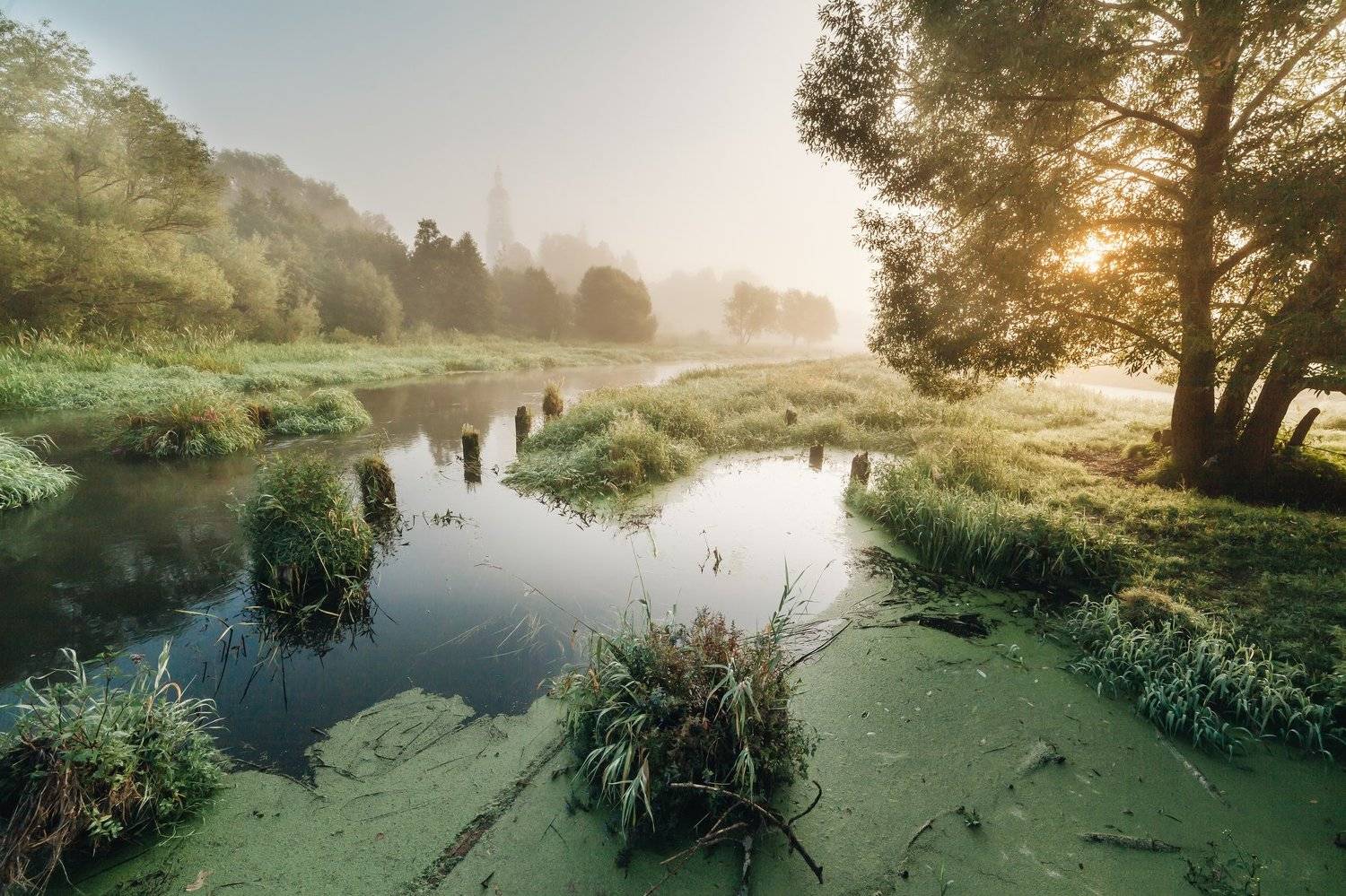 филипповское, шерна, Элина Хван