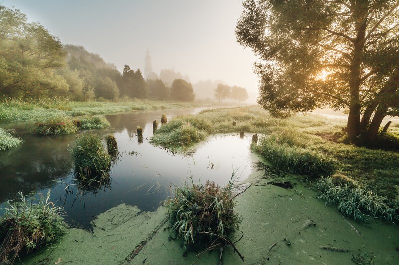 филипповское, шерна Утро на Шерне фото превью