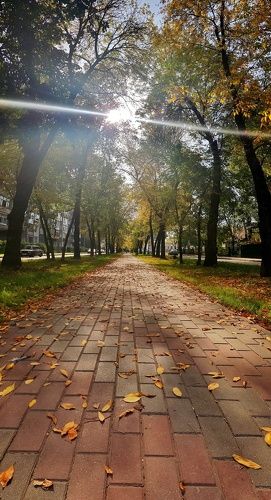 Осень в городе...