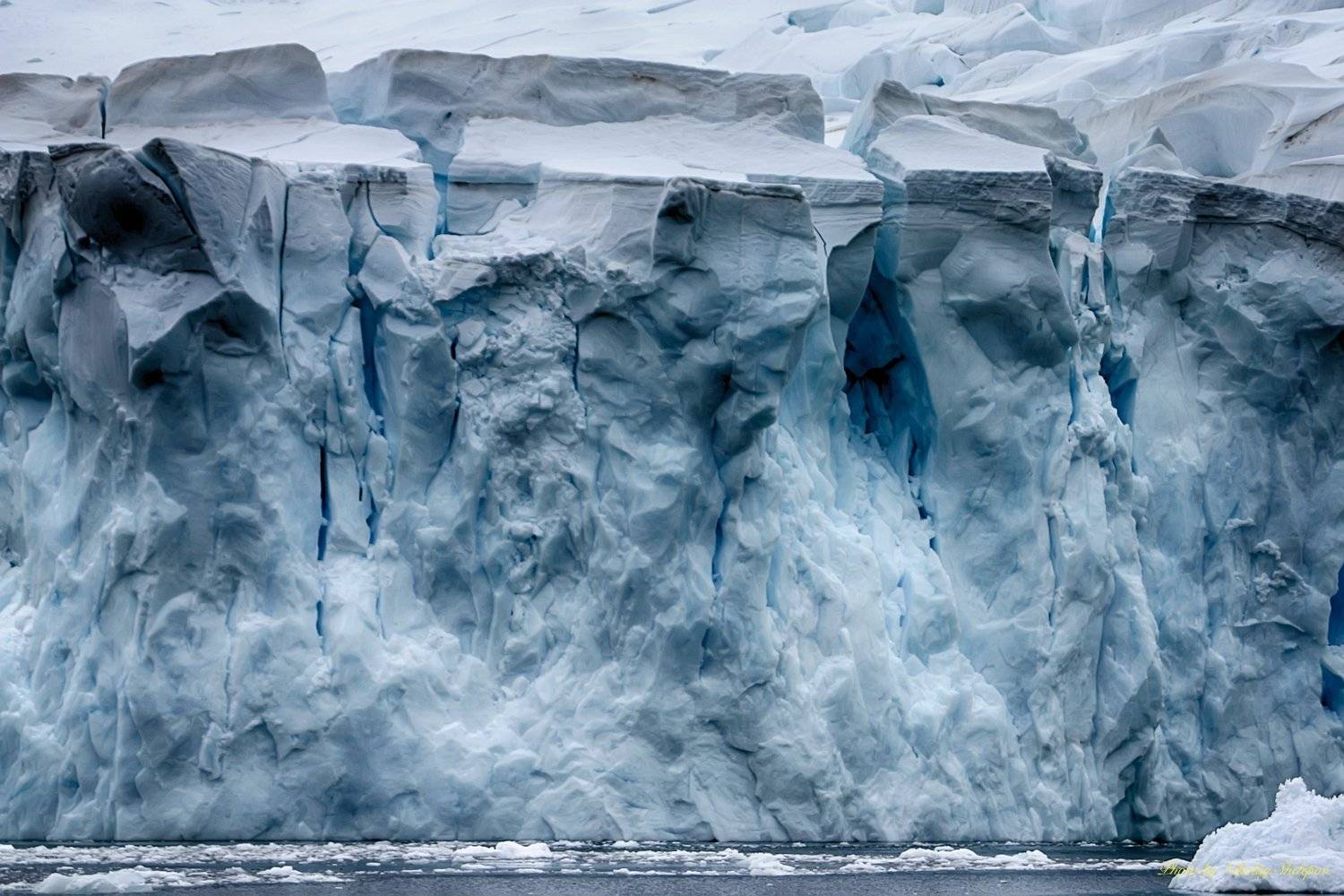 , Николай Шелепов