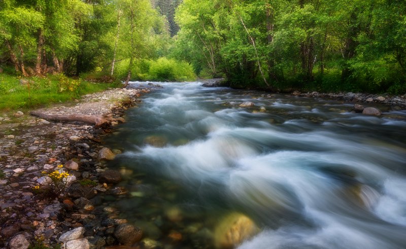 На берегу фото превью