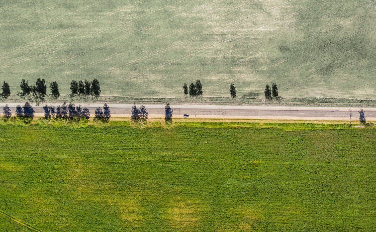 Город,абстрактно,креативно,улица,ночная улица,ночь,ночное креативное,креатив,заброшка,zapworld,завод,шар,индастриал,фото,Беларусь,новополоцк,Пейзаж, природный, небо, лес, краски, берег, вода, водоем, пруд, озеро, гладь, камыш, тростник, трава, отражение, , Sergey Shevtsov