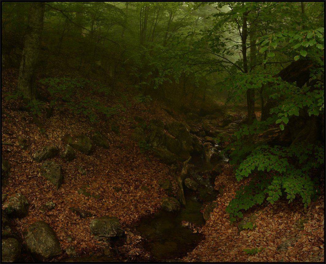 , Владимир Метцгер