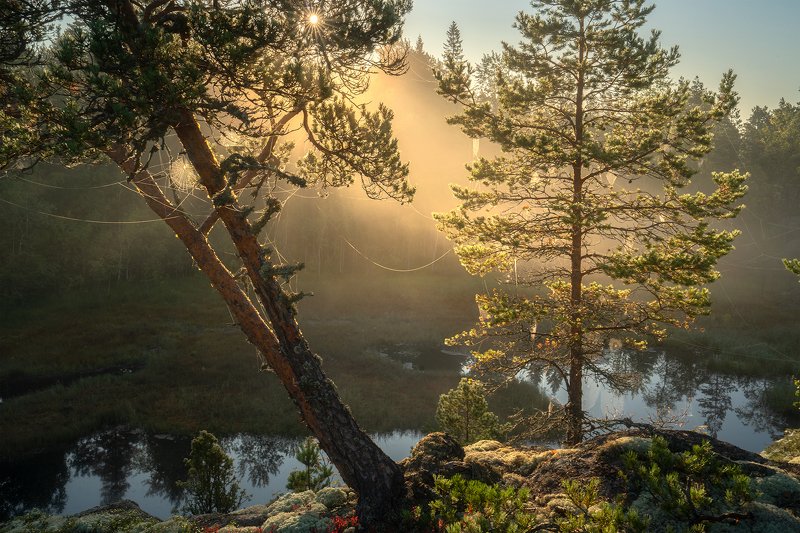 Утренние кружева фото превью