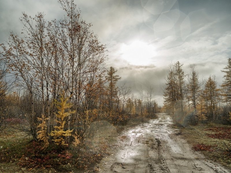 Осенний дождик. Ямал. 2019.  фото превью
