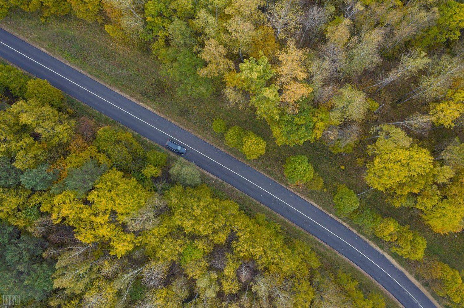 , Дмитрий Доронин