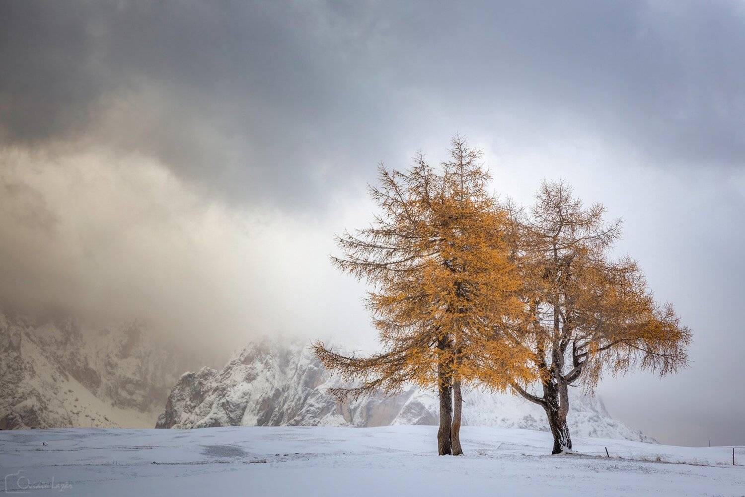 mountains, dolomites, italy, sunset, landscape, nature, travel, autumn, peak, clouds, trees, Lazar Ioan Ovidiu